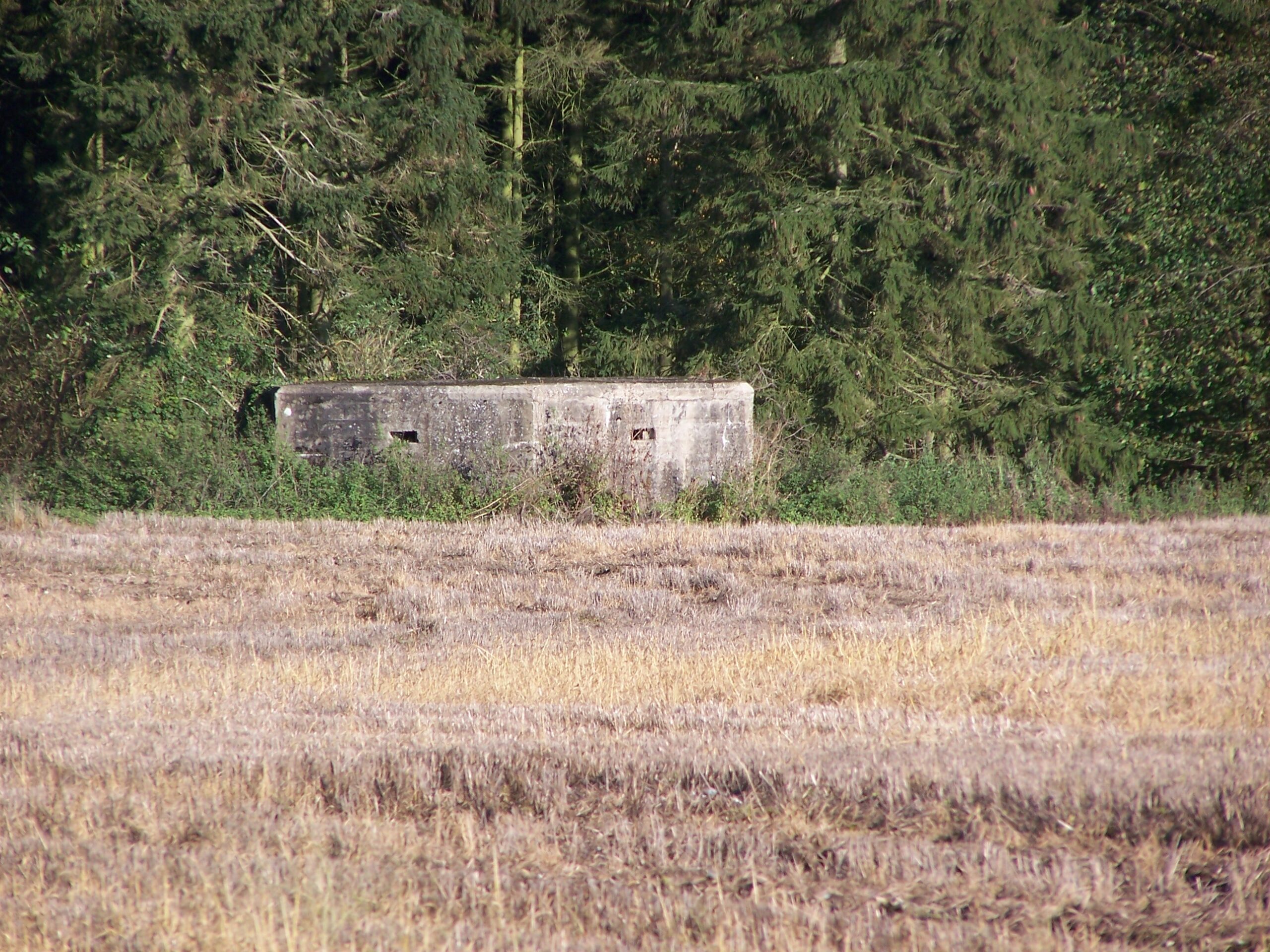 Pill boxes defending Bury in World War II Bury St Edmunds Tour Guides
